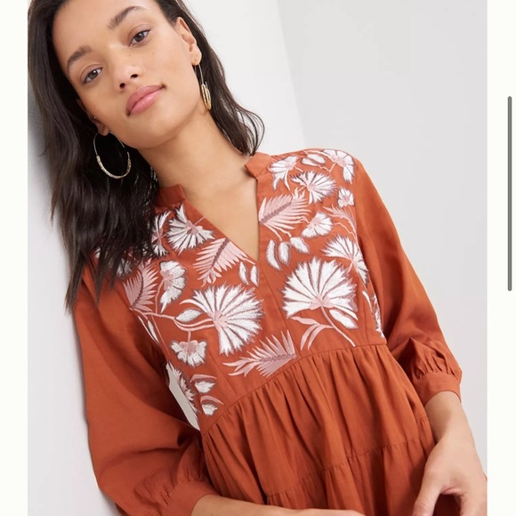 Anthropologie Apolline Embroidered Tunic Dress - Picture 4 of 11